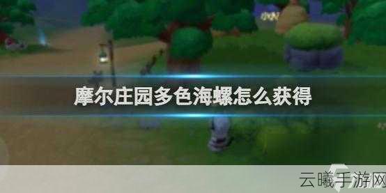 摩尔庄园手游多色海螺装饰品获取攻略全揭秘，探索海洋奇遇之旅