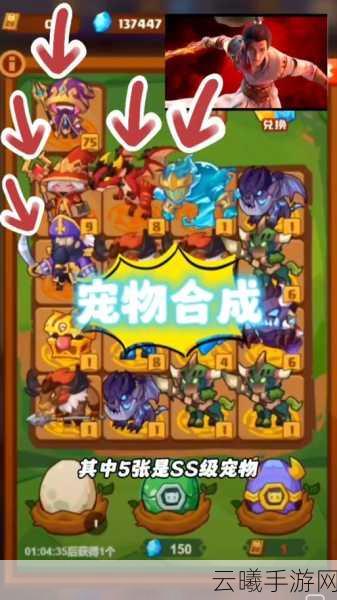 疯狂骑士团新手必看攻略,助你开局即巅峰,畅享冒险之旅