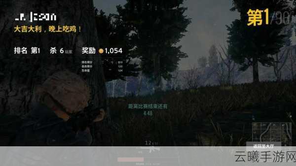 绝地求生刺激战场四排战术全攻略，团队协作与策略制胜