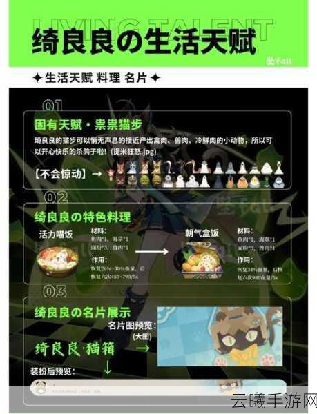 原神绮良良角色深度解析及高效阵容搭配指南,探索快递员的战斗艺术