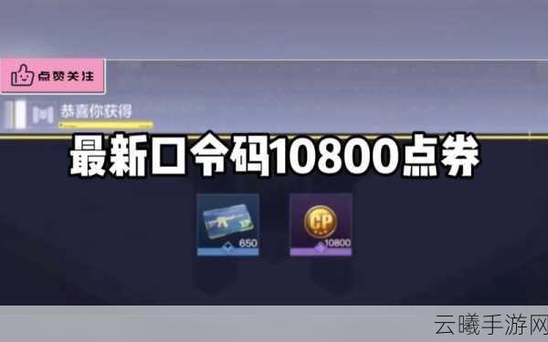 使命召唤手游兑换码输入指南及趣味玩法揭秘