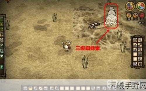 饥荒手游，加速蜘蛛巢生长秘籍与趣味玩法大揭秘