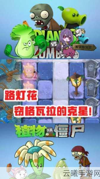 植物大战僵尸2，黑暗时代解锁路灯花，策略与趣味并存
