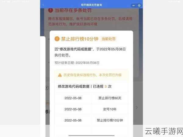 和平精英账号永久封禁后的申诉之路及游戏魅力探索