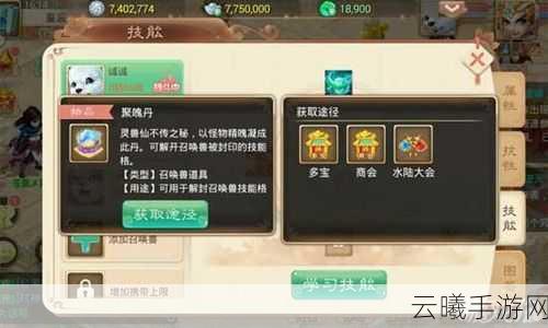 大话西游手游吉祥果抗性加点全攻略，打造你的战斗利器
