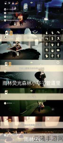 光遇手游探索指南，揭秘雨林神庙的奇幻之旅