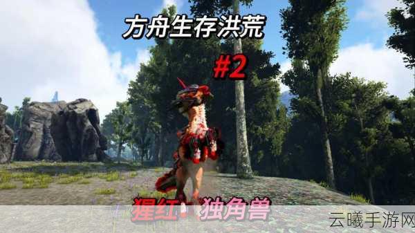 方舟,生存进化高效训练智慧猩猩的独家秘籍与趣味玩法