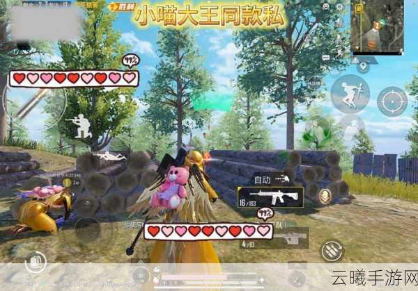 和平精英手册豪华版VS普通版，全面解析及趣味玩法揭秘