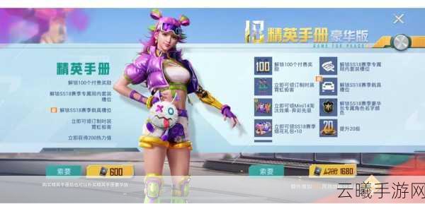 和平精英手册豪华版VS普通版，全面解析及趣味玩法揭秘