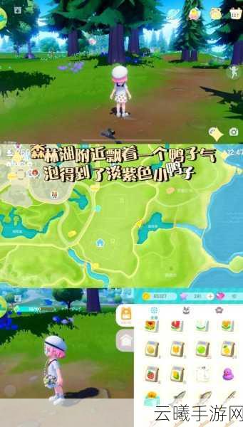 心动小镇沙滩乐园探秘手游，第12天小鸭子藏匿大挑战全攻略，解锁夏日奇遇！