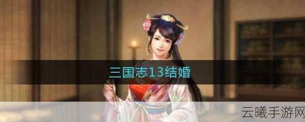 三国志13手游深度解析,如何让孩子结婚及更多趣味玩法