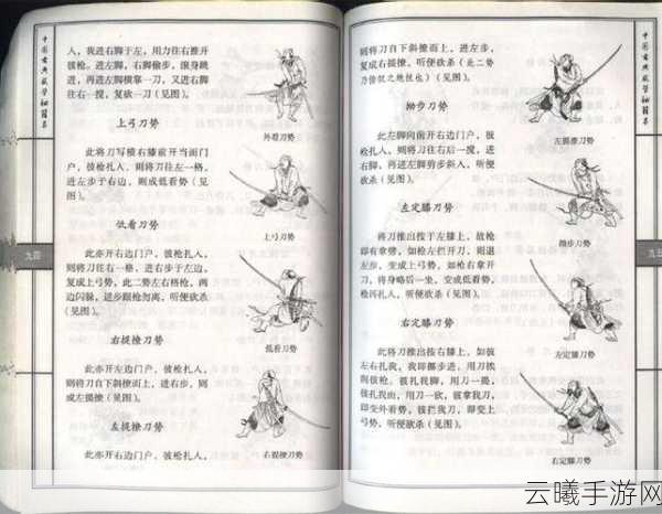 大掌门丙级绝学燃木刀法图谱，深度剖析武功精髓与趣味玩法揭秘