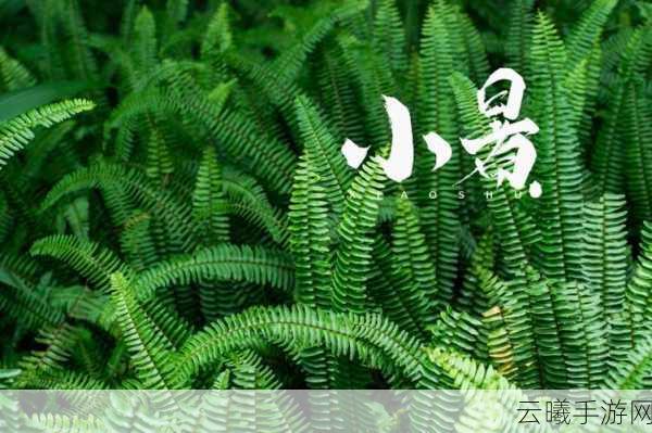 桃源深处有人家小暑壁纸发布,探索资源管理新境界,打造极致生活美学体验