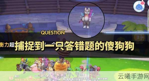 仙境传说ro腐烂绷带获取攻略及趣味玩法揭秘