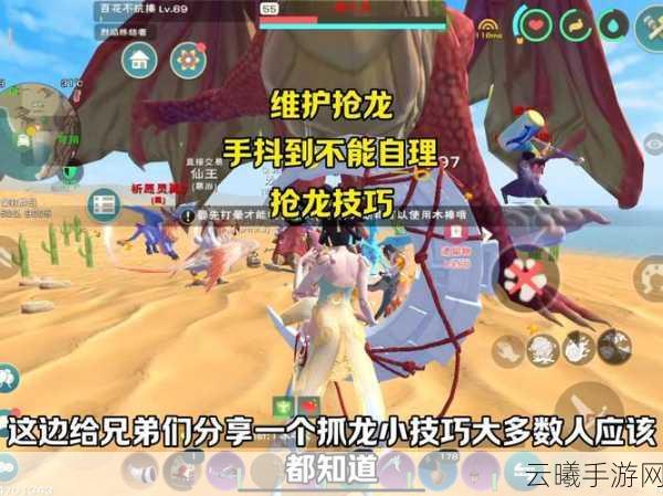 创造与魔法灵龙饲料制作全攻略，解锁神秘宠物，探索无限可能！