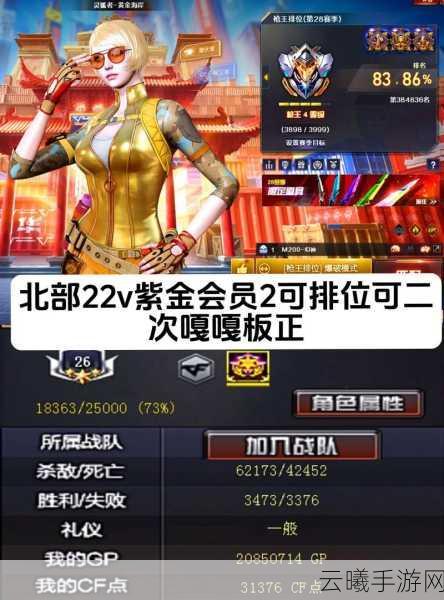 穿越火线枪战王者段位等级全解析,最高段位揭秘及趣味玩法探索