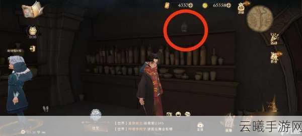 哈利波特，魔法觉醒深度攻略，增强剂使用策略揭秘，竞技场称霸之路