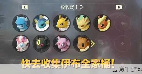 宝可梦阿尔宙斯伊布全面进化指南，探索多样形态的乐趣