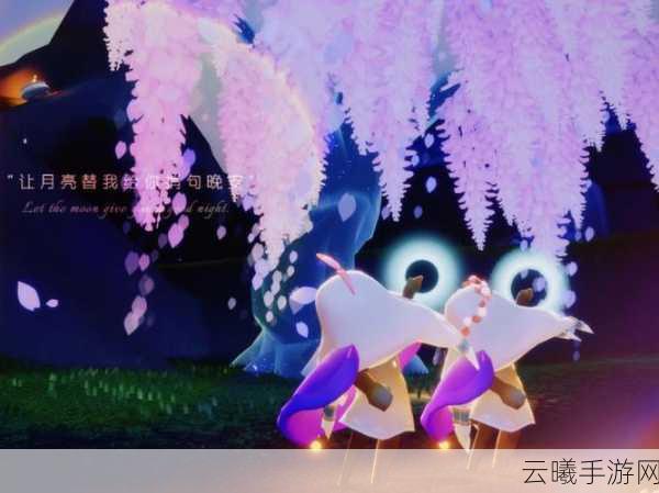 光遇花憩节活动狂欢盛大开启,低配置手机畅享绝美画质冒险之旅