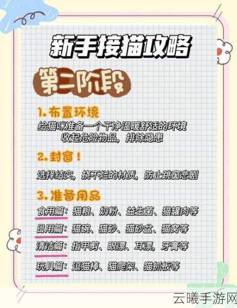 白猫计划角色深度培养攻略，解锁无限战斗潜能的趣味玩法指南