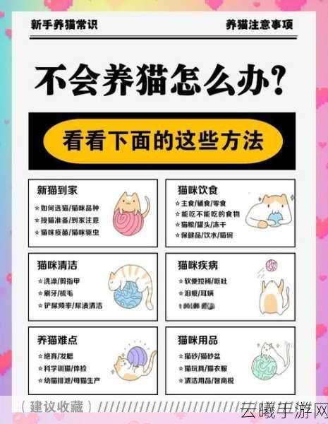 白猫计划角色深度培养攻略，解锁无限战斗潜能的趣味玩法指南