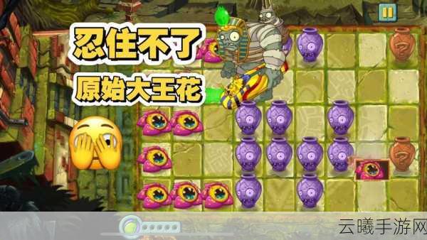 植物大战僵尸2大王花,远程攻击与毒液爆炸的王者!