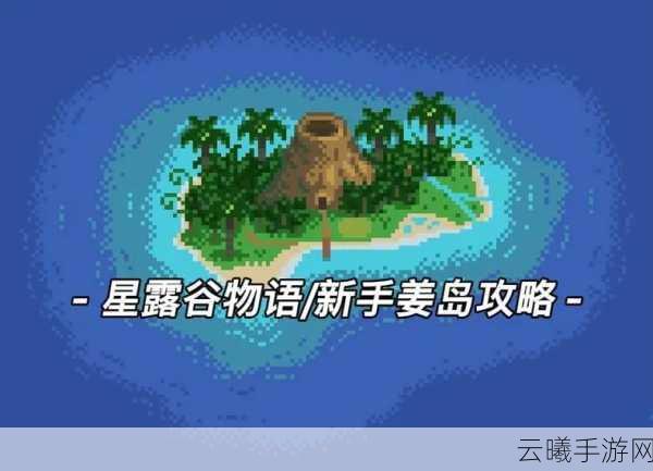 星露谷物语深度探索,全面攻略解锁姜岛海滩度假村的奇幻之旅与技巧揭秘