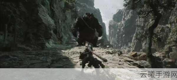 黑神话悟空豪华版与普通版区别详解,解锁更多西游冒险乐趣