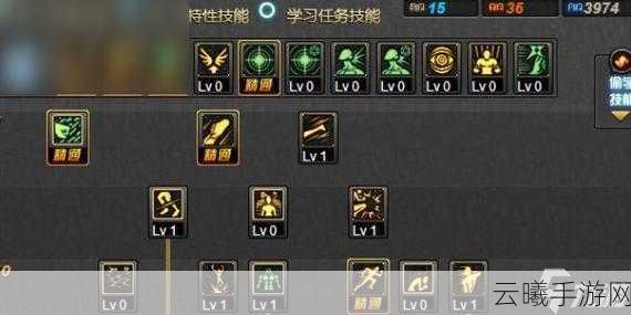 地下城与勇士女柔道最新110级刷图加点全攻略，打造暴力美学新体验！