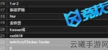 Dota2国服启动项设置全攻略,解锁极致游戏体验