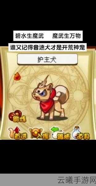洛克王国手游资讯,揭秘重生宠物所需精粹与趣味玩法