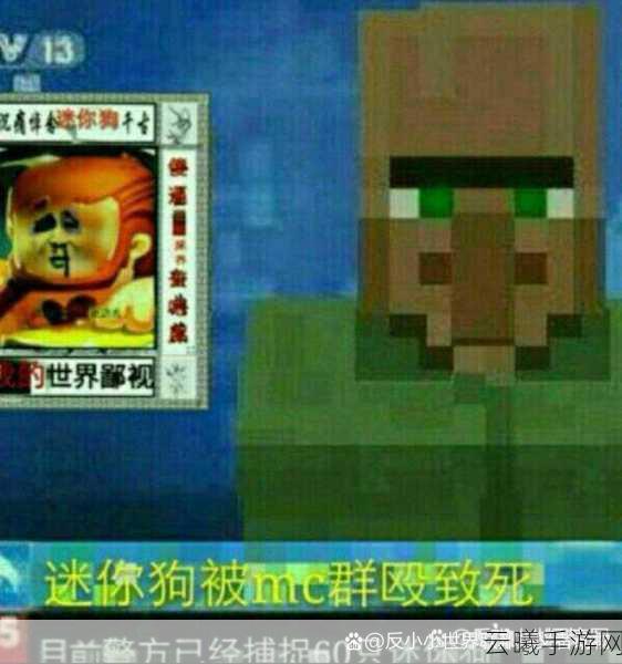 迷你世界中的友情足迹,迷你狗聊天记录揭秘,探索无限创意的奇妙之旅