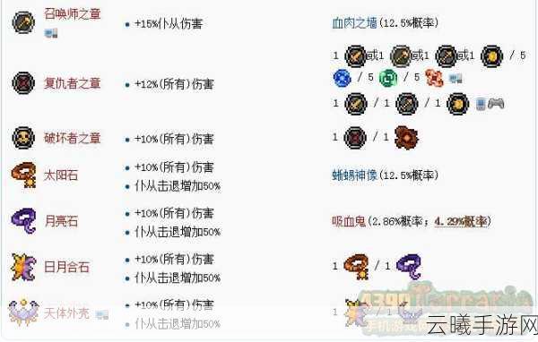 泰拉瑞亚召唤职业装备选择与趣味玩法揭秘