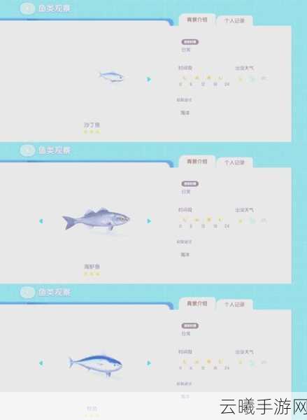 心动小镇海鱼位置大揭秘,出现条件与趣味玩法全面汇总
