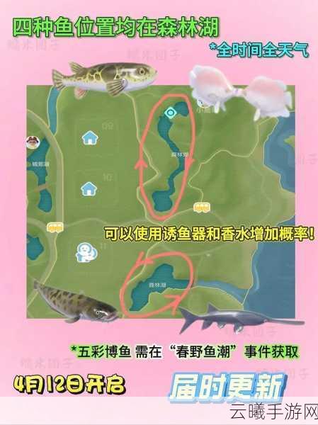 心动小镇海鱼位置大揭秘,出现条件与趣味玩法全面汇总
