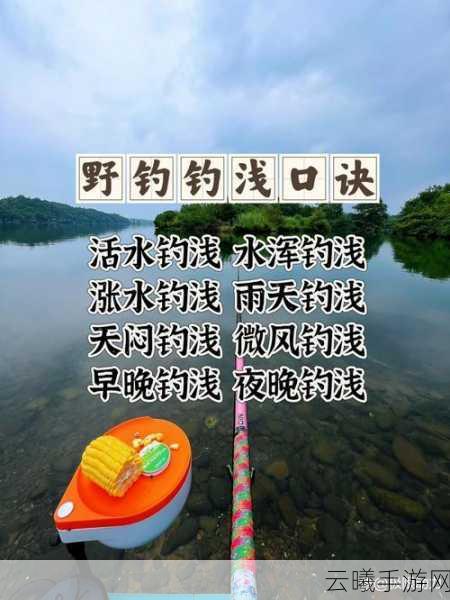 烟雨江湖海钓玩法揭秘,海钓鱼竿使用全攻略及趣味玩法探索