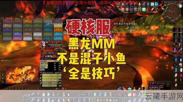 魔兽世界手游版,揭秘黑爪龙虾的多重用途与实用功能,探索奇幻世界的全新乐趣