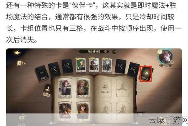 哈利波特，魔法觉醒回响效果深度剖析，哈利回响的无限可能与卡牌构筑策略探索