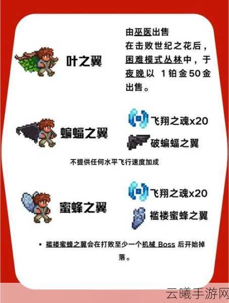泰拉瑞亚攻略秘籍，轻松刷蜂后，高效探险你值得拥有！