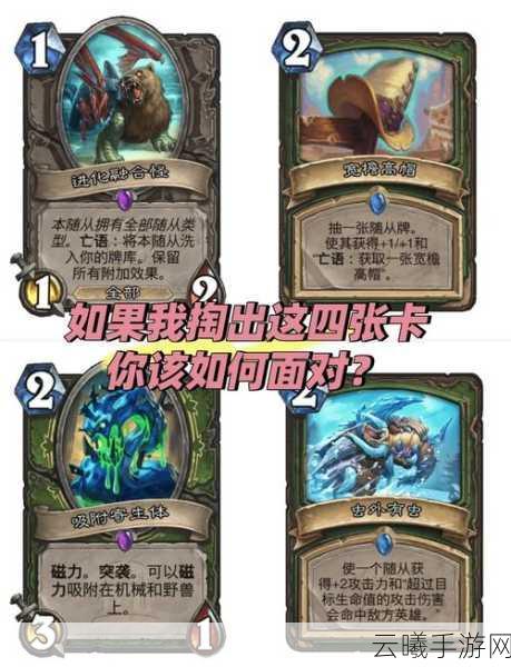 炉石传说快速削减生命值卡组大揭秘，策略与乐趣并存！