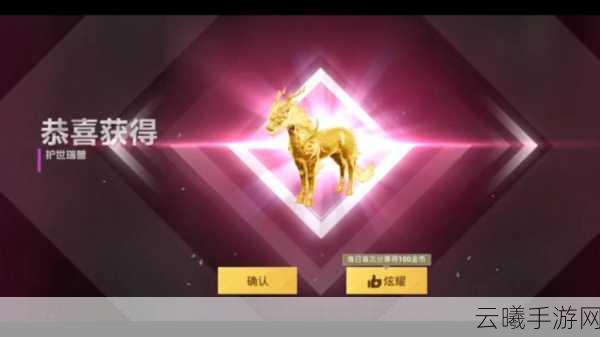 和平精英游戏币抽奖全攻略,解锁稀有装备,提升战斗乐趣!
