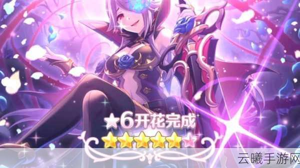 公主连结月卡季卡性价比深度剖析，解锁无限乐趣的钥匙