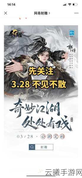射雕手游飞雷刺获取攻略及趣味玩法揭秘