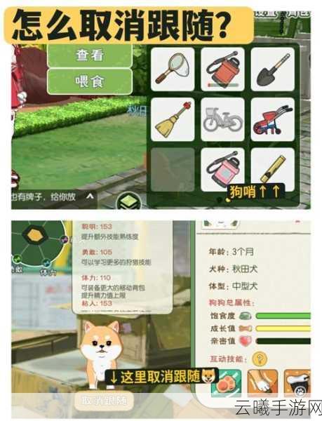 小森生活手游深度解析,如何分解物品及趣味玩法大揭秘