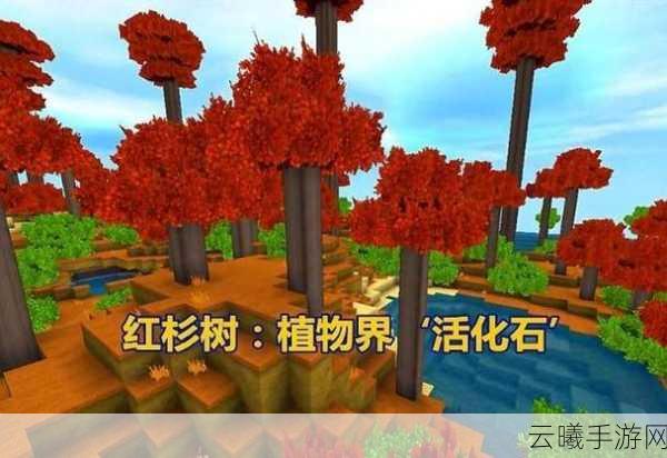 迷你世界探索指南,揭秘高效获取珍稀红杉果的独家秘籍与趣味玩法