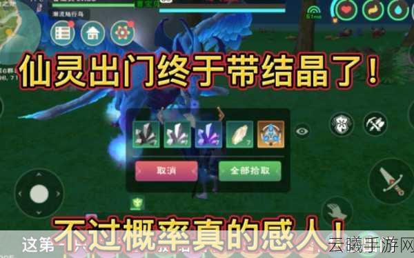 创造与魔法淘气仙灵位置全揭秘,探索奇幻世界的无限乐趣!