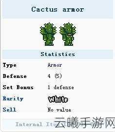 泰拉瑞亚仙人掌满套,前期探险神器全解析