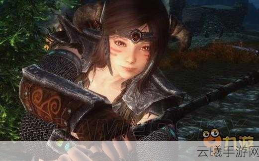 上古卷轴5手游版，全职业养成深度解析与趣味攻略——揭秘多元职业成长之旅