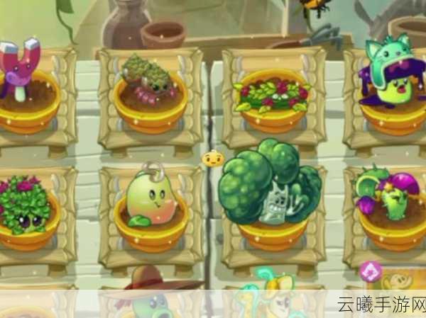 植物大战僵尸2pvz2国际版，揭秘拓展关卡，挑战全新策略极限