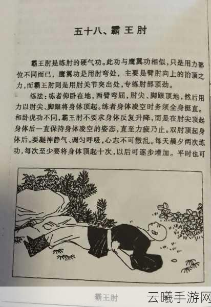 大掌门2元气丹获取攻略大全，解锁武林秘籍的钥匙